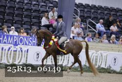 25R13_06149 thumbnail