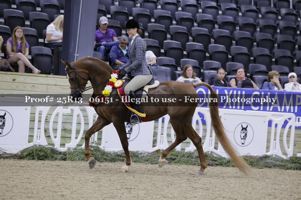 Proof Number 25R13_06151