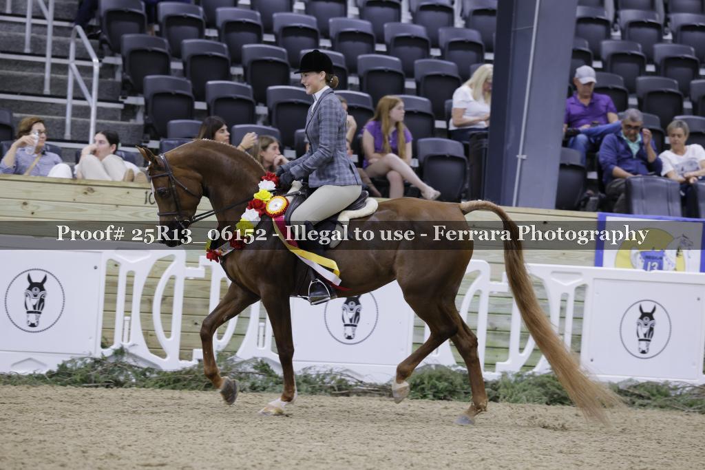 Proof Number 25R13_06152