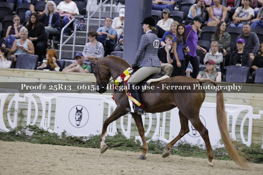 Proof Number 25R13_06154