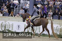25R13_06154 thumbnail