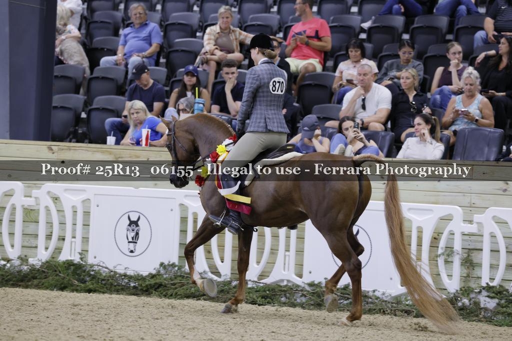 Proof Number 25R13_06155