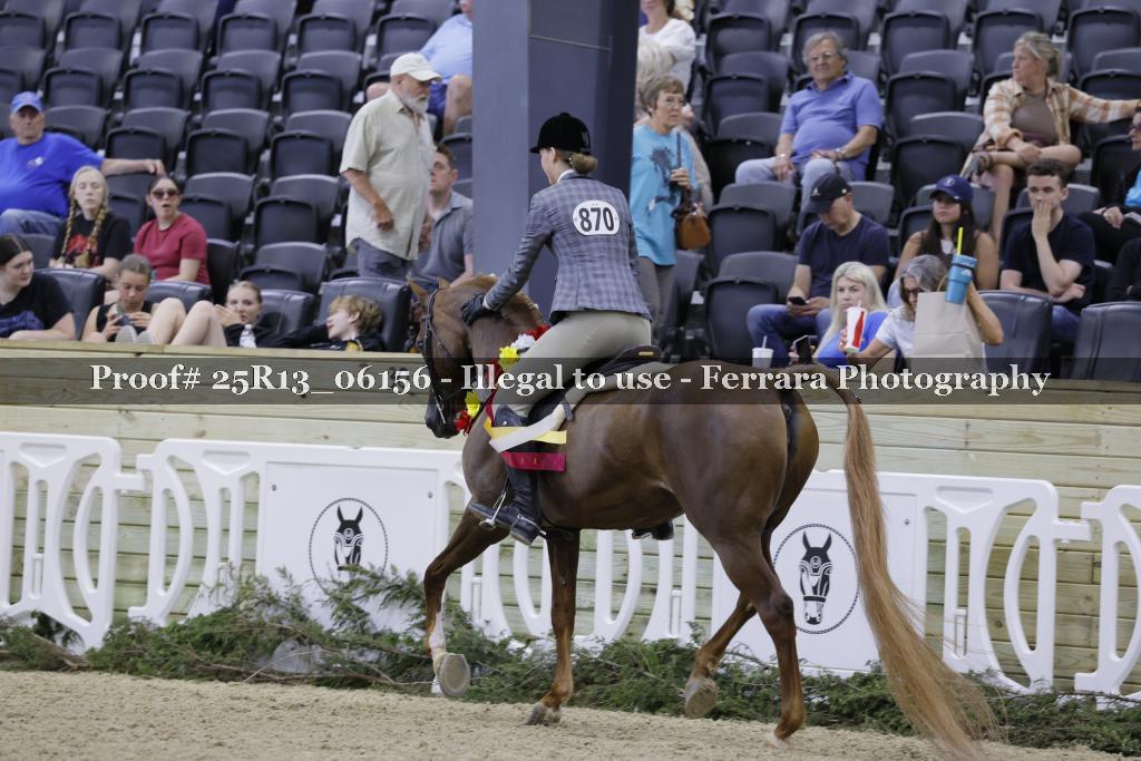 Proof Number 25R13_06156
