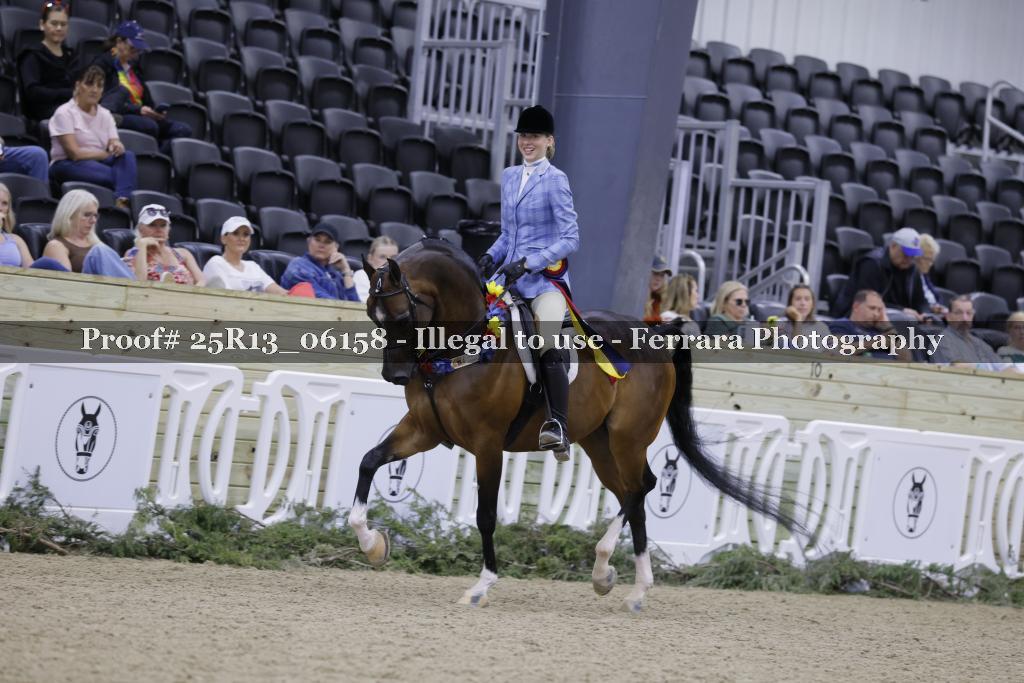 Proof Number 25R13_06158