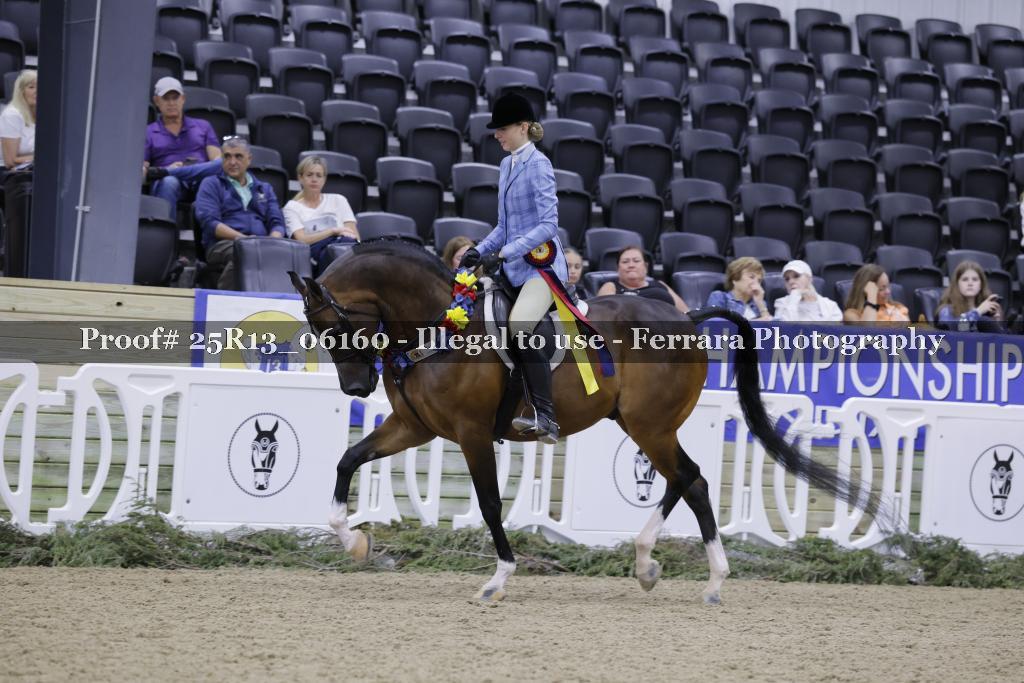 Proof Number 25R13_06160
