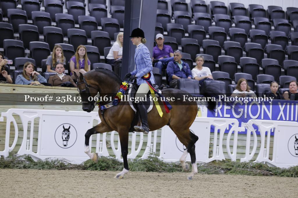 Proof Number 25R13_06161