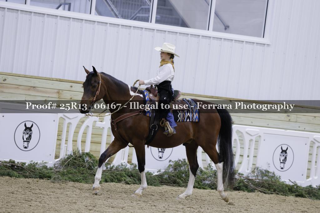 Proof Number 25R13_06167