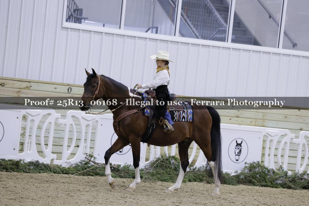 Proof Number 25R13_06168