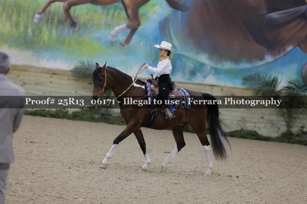 Proof Number 25R13_06171