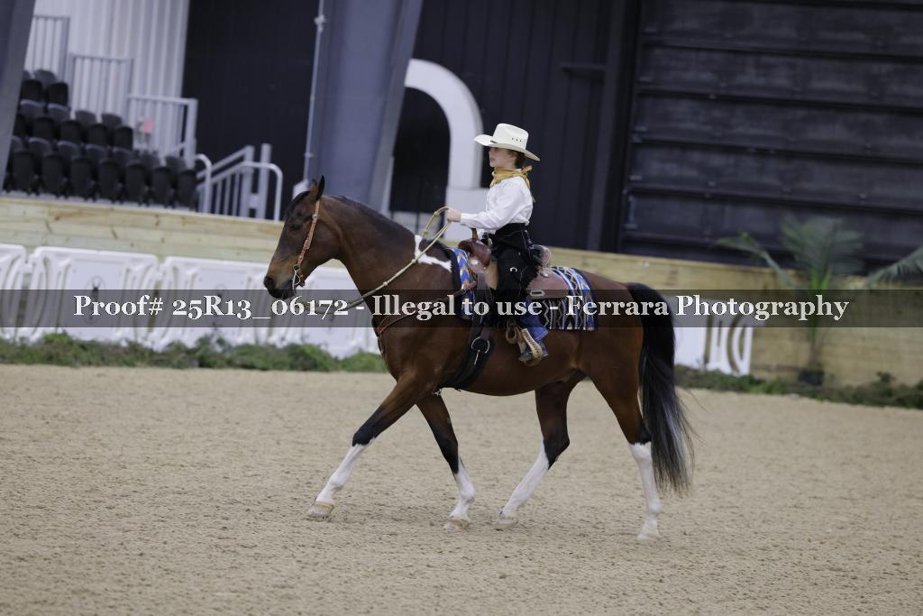 Proof Number 25R13_06172