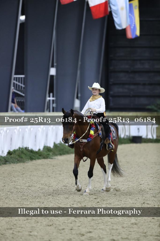 Proof Number 25R13_06184