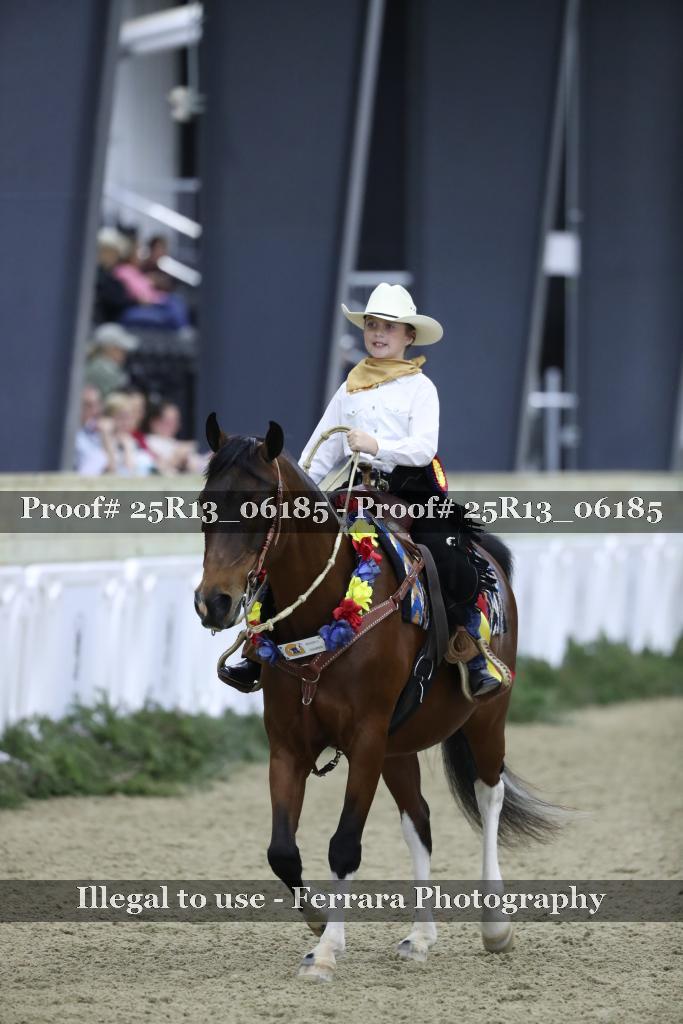 Proof Number 25R13_06185