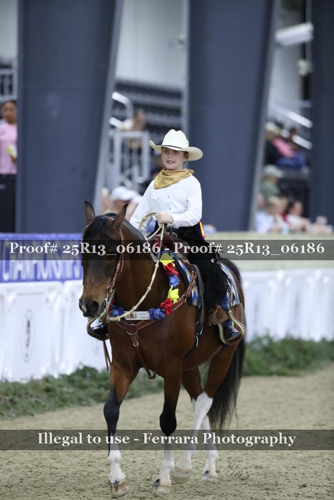 Proof Number 25R13_06186
