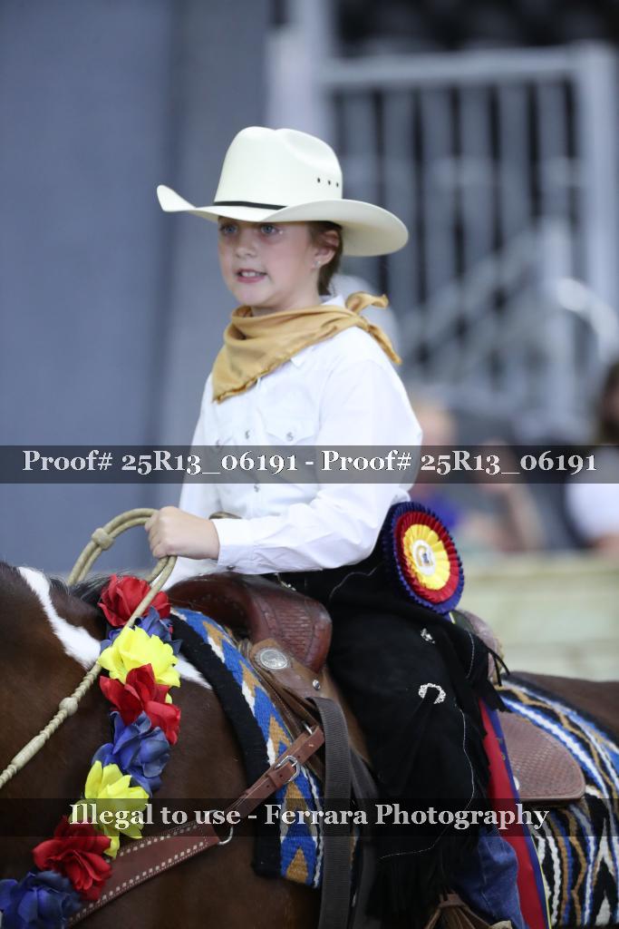 Proof Number 25R13_06191