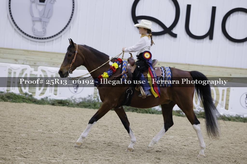 Proof Number 25R13_06192