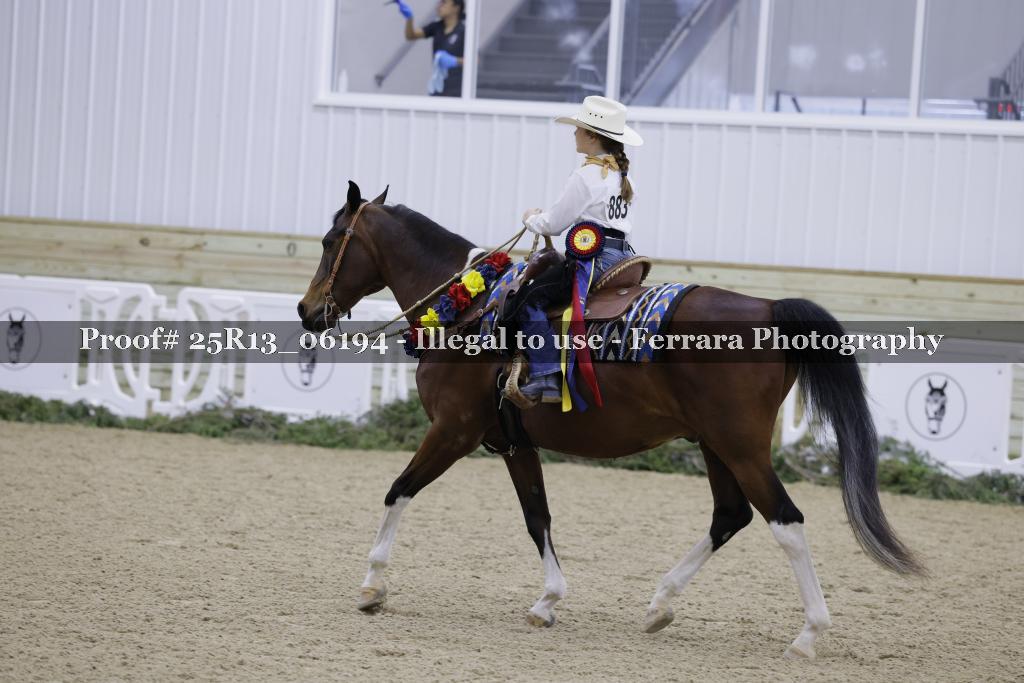 Proof Number 25R13_06194
