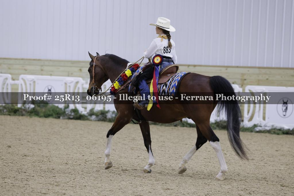 Proof Number 25R13_06195