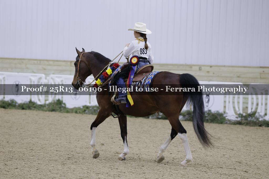 Proof Number 25R13_06196