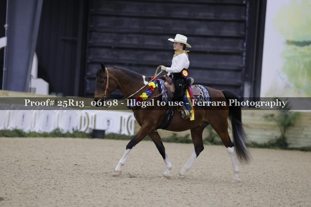 Proof Number 25R13_06198