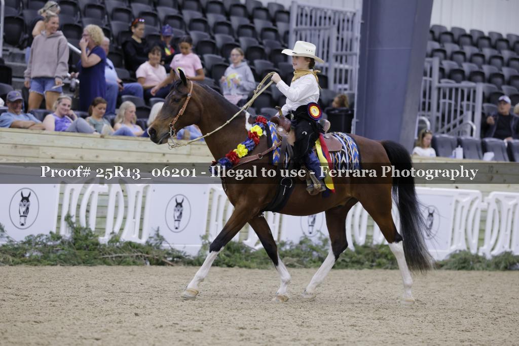 Proof Number 25R13_06201
