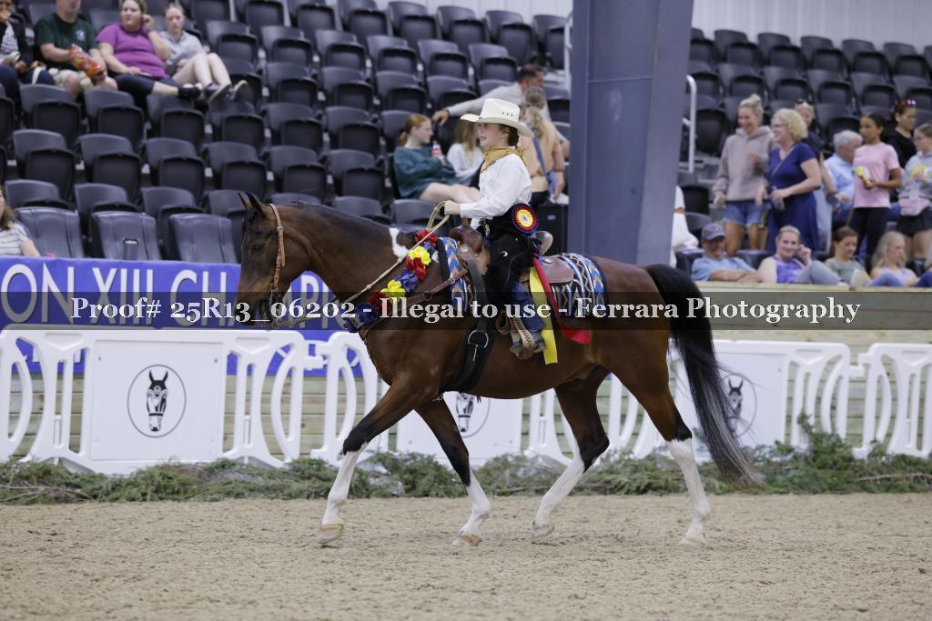 Proof Number 25R13_06202