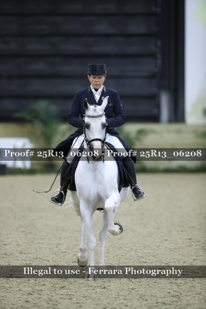 Proof Number 25R13_06208
