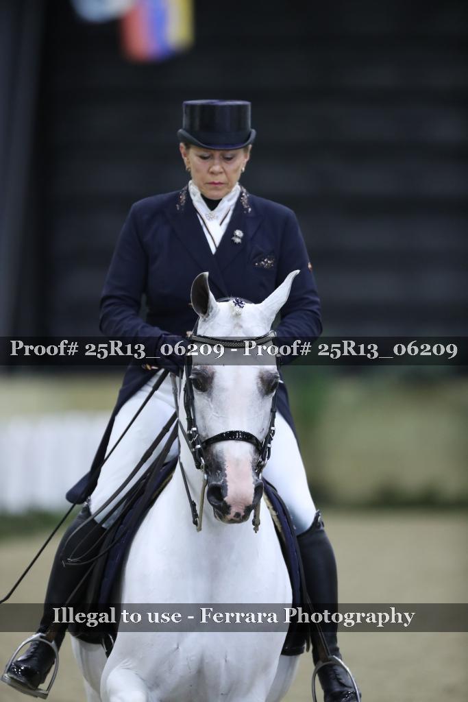 Proof Number 25R13_06209