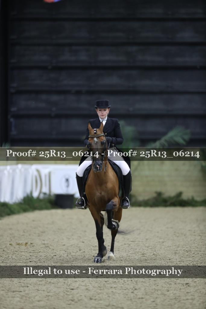 Proof Number 25R13_06214
