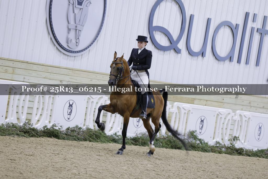 Proof Number 25R13_06215