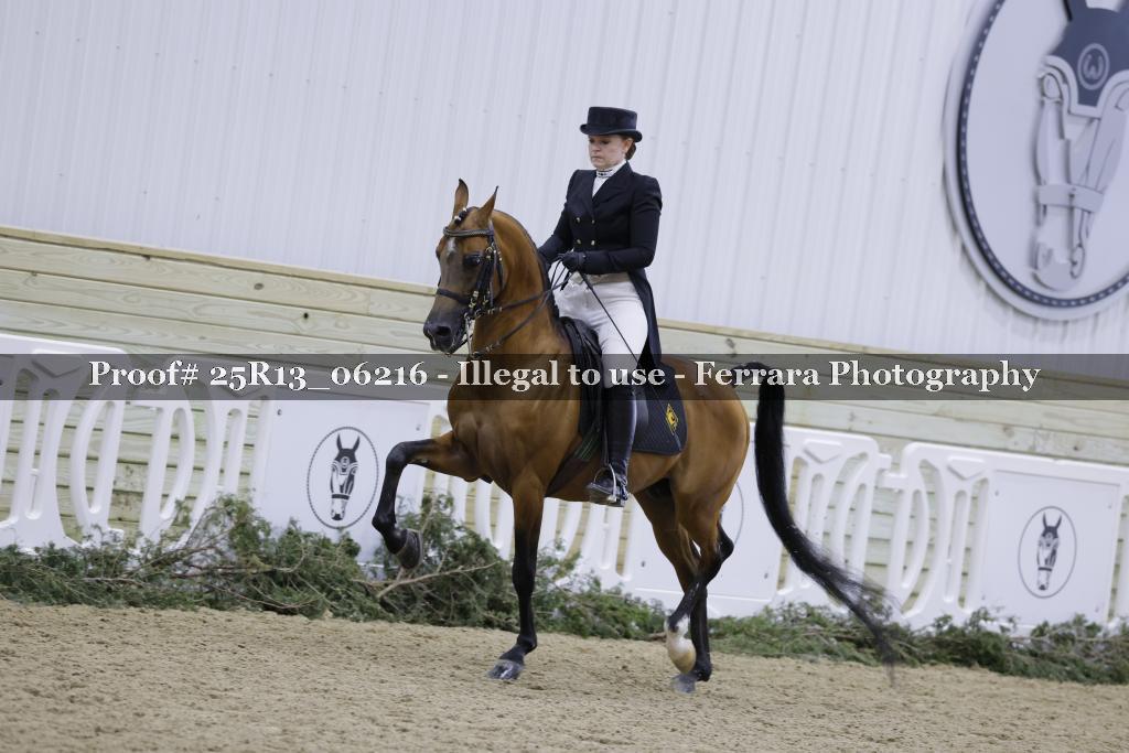 Proof Number 25R13_06216