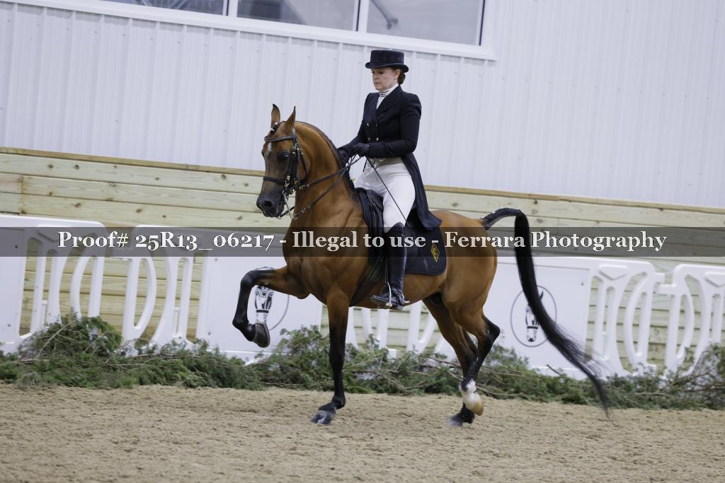 Proof Number 25R13_06217