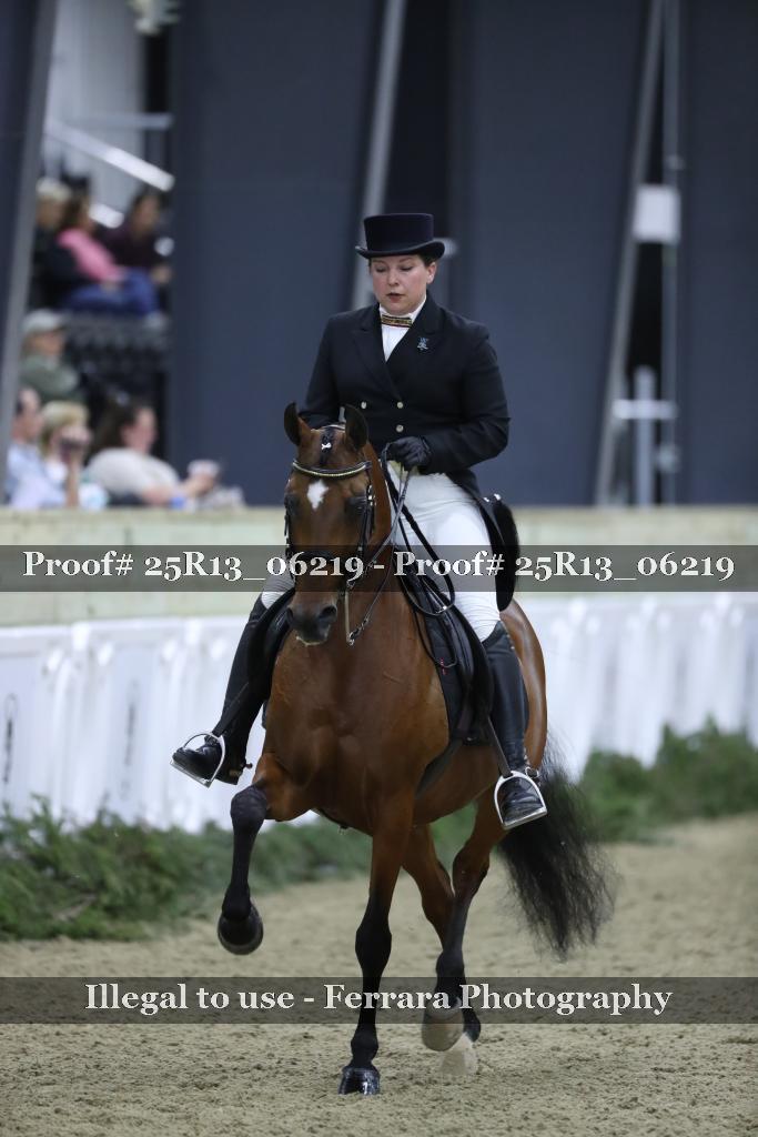 Proof Number 25R13_06219