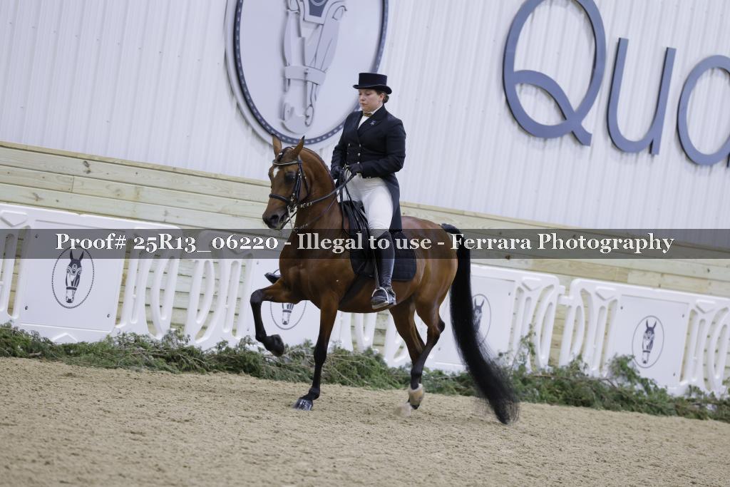Proof Number 25R13_06220