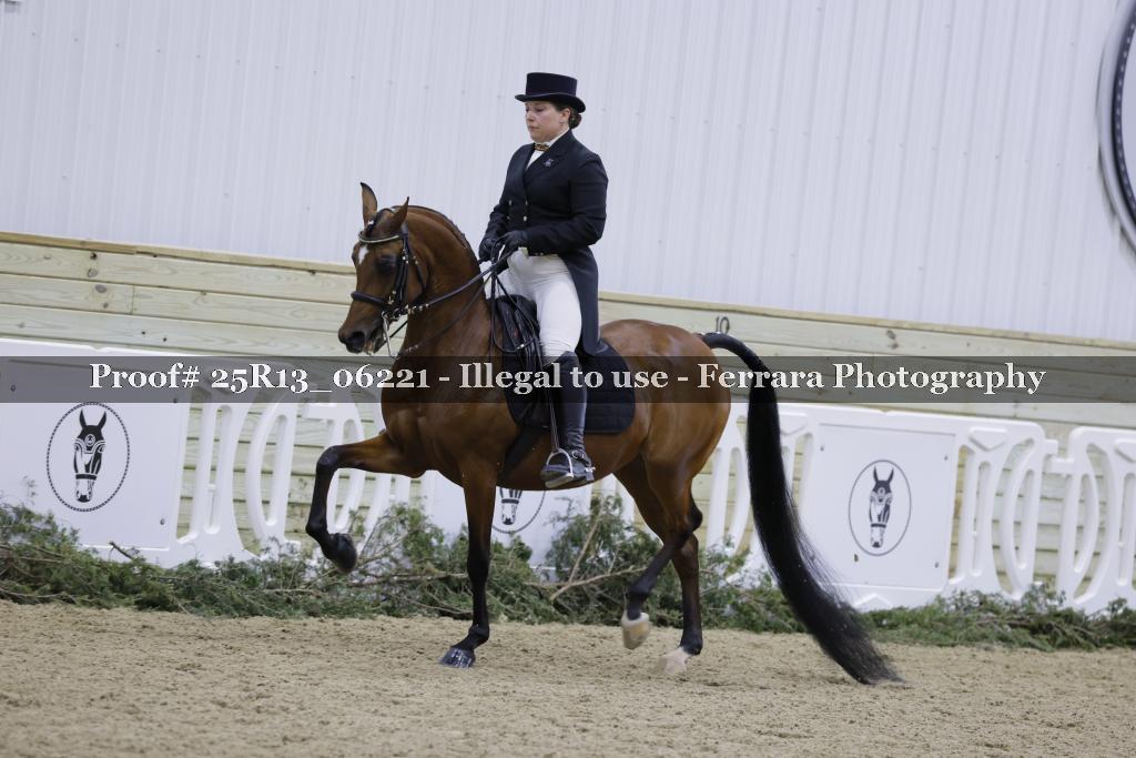 Proof Number 25R13_06221