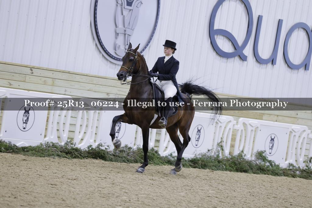Proof Number 25R13_06224