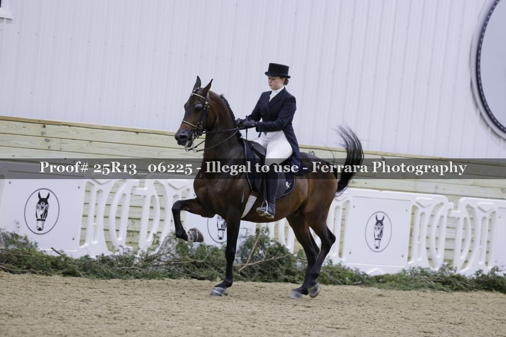 Proof Number 25R13_06225
