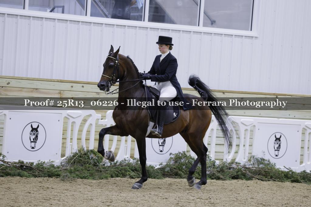 Proof Number 25R13_06226