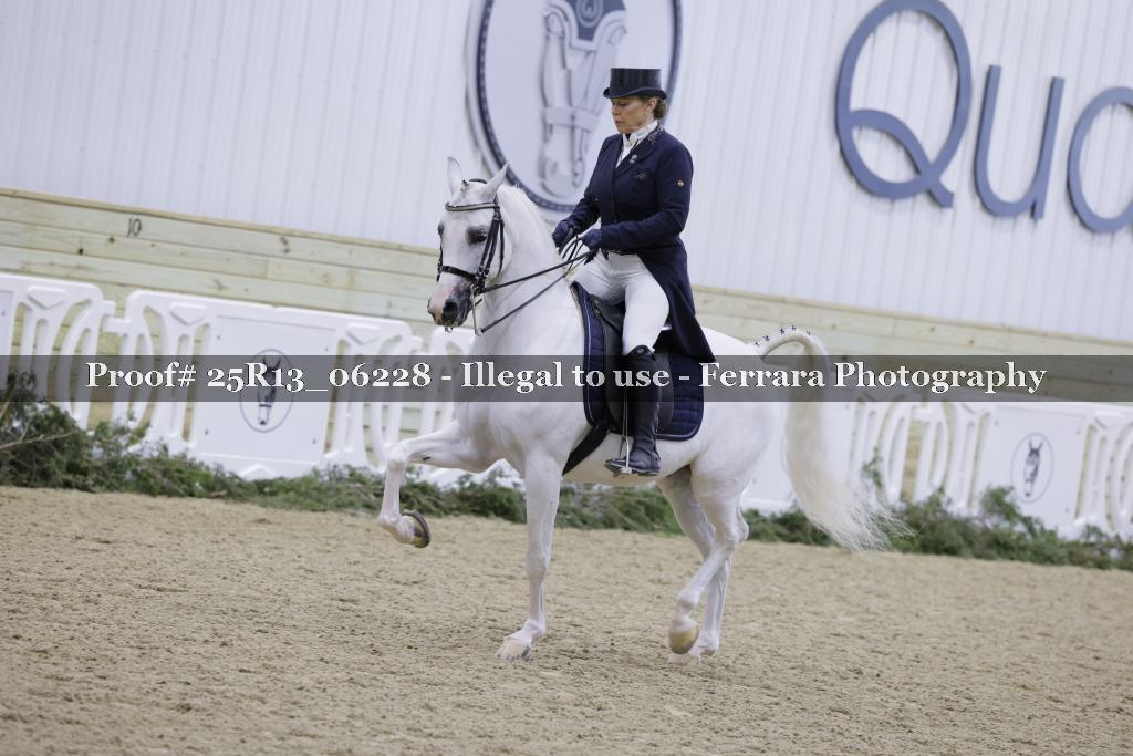 Proof Number 25R13_06228