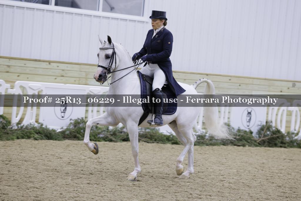 Proof Number 25R13_06229