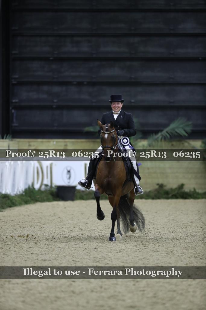 Proof Number 25R13_06235