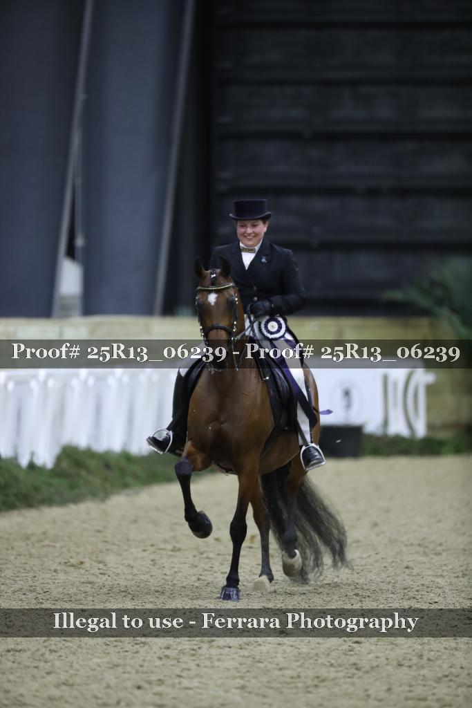 Proof Number 25R13_06239