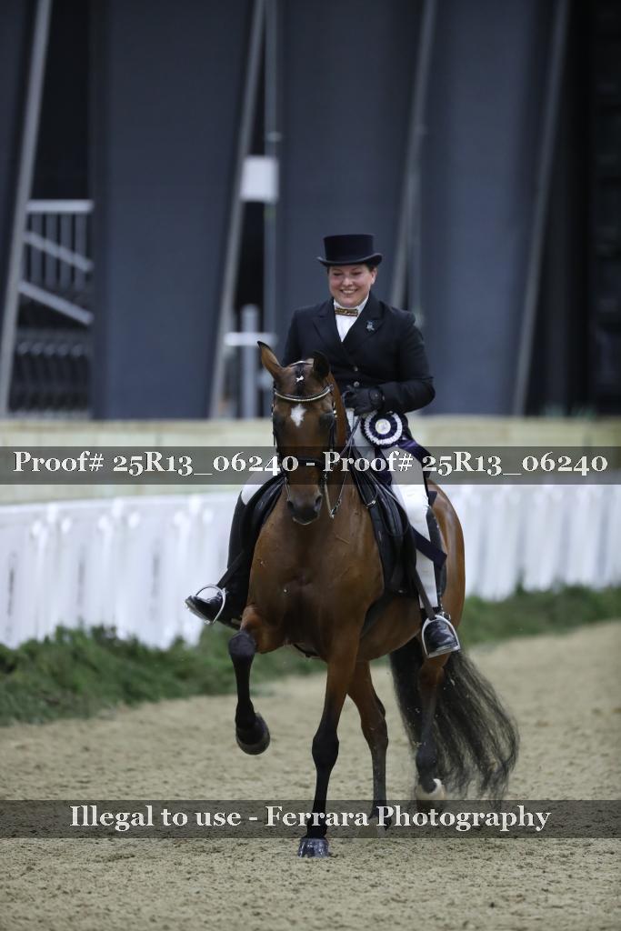 Proof Number 25R13_06240