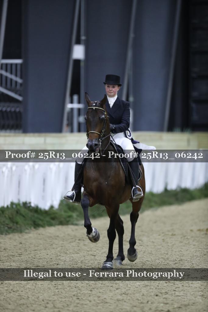 Proof Number 25R13_06242