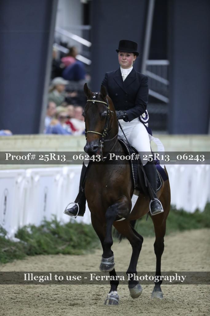 Proof Number 25R13_06243