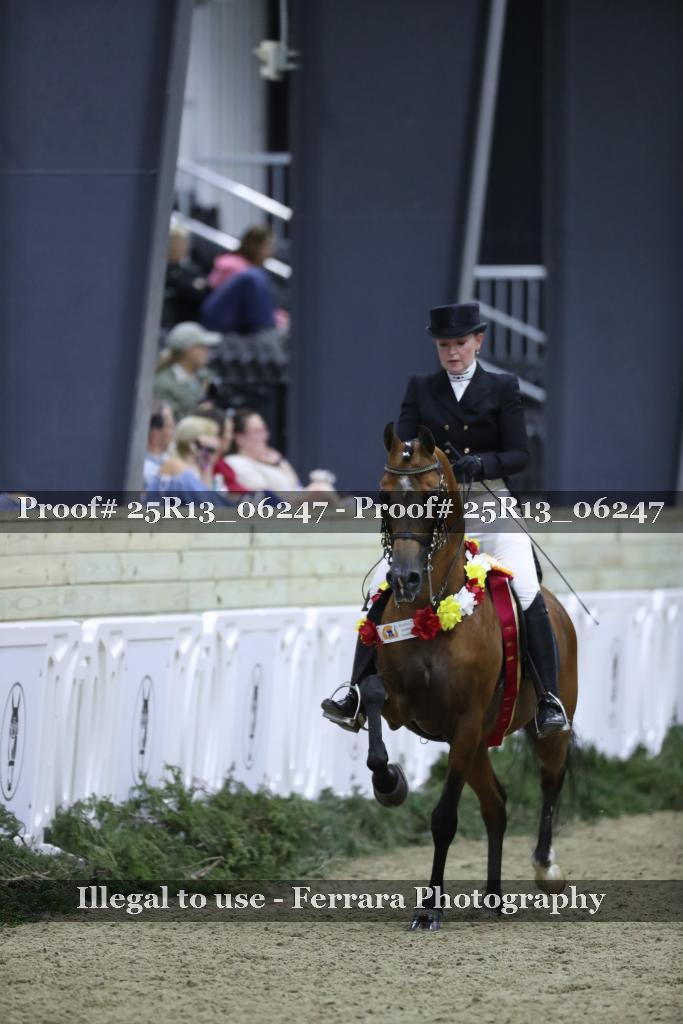 Proof Number 25R13_06247