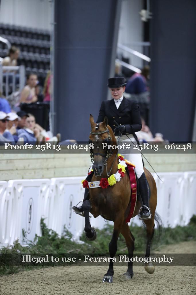 Proof Number 25R13_06248