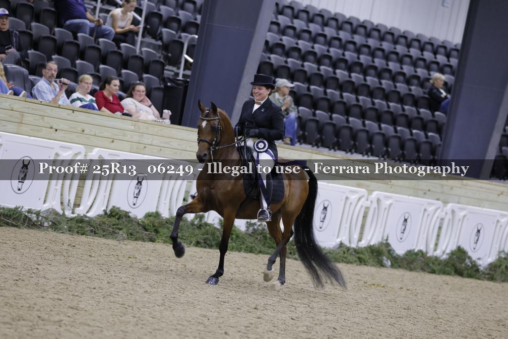 Proof Number 25R13_06249