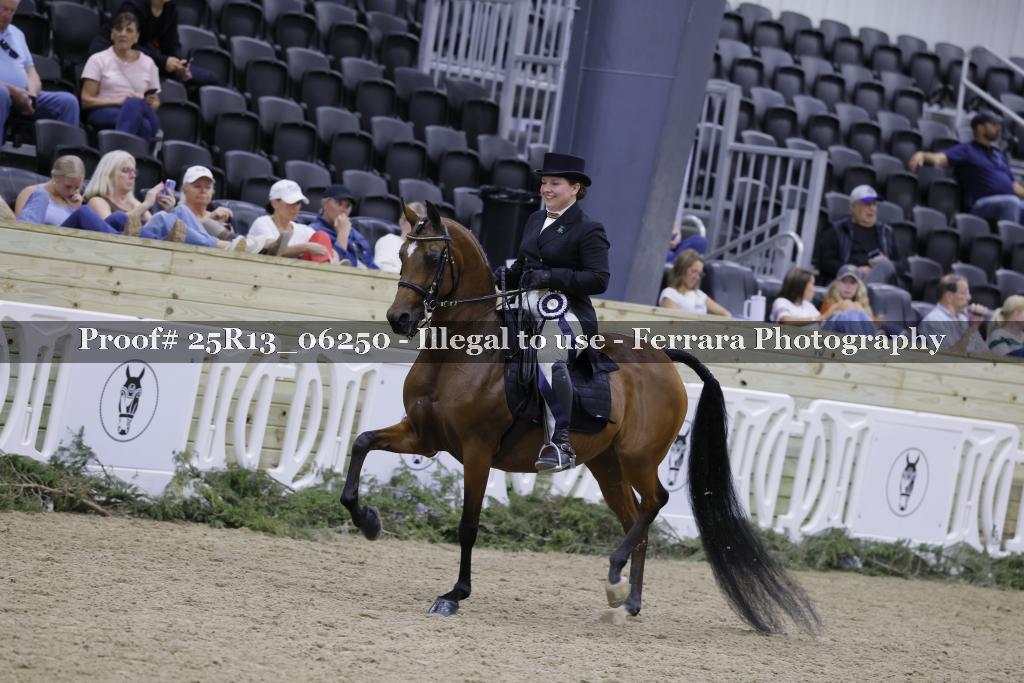 Proof Number 25R13_06250