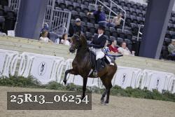 25R13_06254 thumbnail