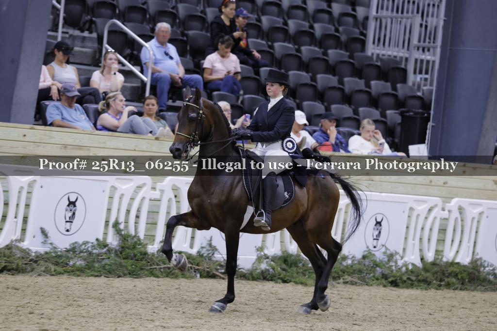 Proof Number 25R13_06255